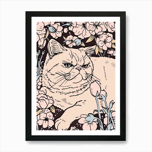 Carino gatto esotico pelo - carino, a
