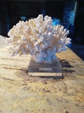 Scultura Marina Decorativa