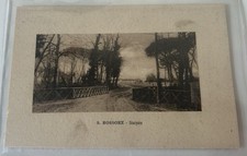 Cartolina Di San Rossore Pisa Sterpaia Fp