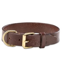 Jack  Russell Collare per Cani