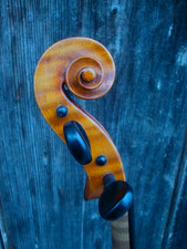 Vecchio violino con TIMBRO A