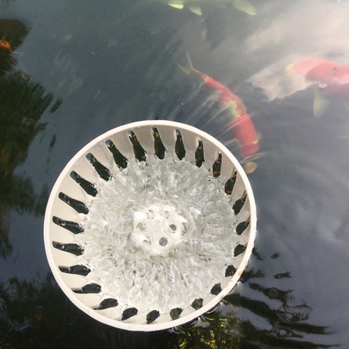 Per koi skimmer laghetto - per,