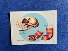 EDITRICE MODERNA VITA E COLORE