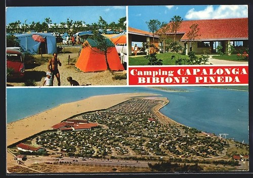 Bibione pineda - bibione,