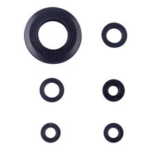 Set paraolio motore per Honda