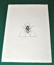 ELIO MARCHEGIANI , "LA MOSCA"