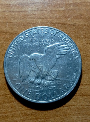 Bella moneta dollaro - bella,