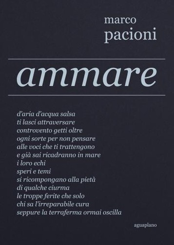 Ammare aguaplano officina - -, [aguaplano