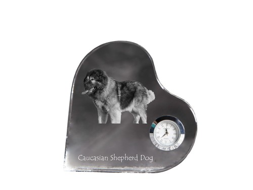 Cane pastore del caucaso - cane, da