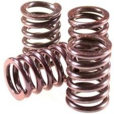 Barnett CLUTCH SPRINGS Ducati