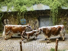 Britains Farm Cow, Bull e Vitello Razza Personalizzata Irlandese Moiled, Scala 1:32