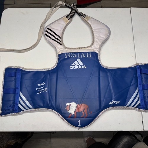 Daedo karate sparring - daedo,