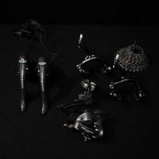 Campagnolo Record Titanium 10s