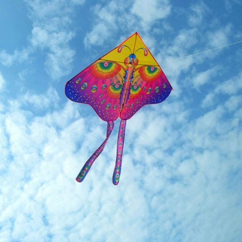 Aquilone farfalla gioco - farfalla,