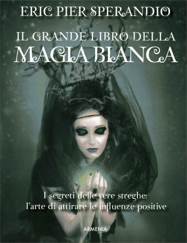 Libro grande - il,