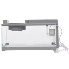  Vaschetta Pesci Rossi