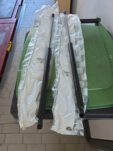 Coppia molle gas baule - coppia,