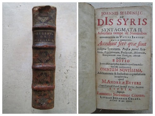 Selden dis syris - selden,