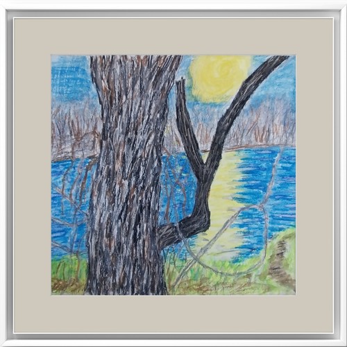 Albero fiume sole - albero, riflessi