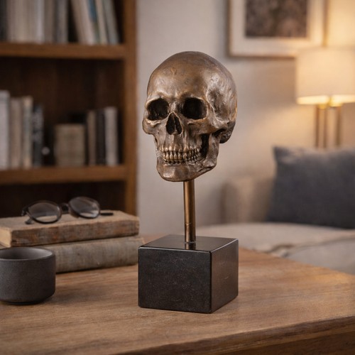 Scultura bronzo teschio su - in,