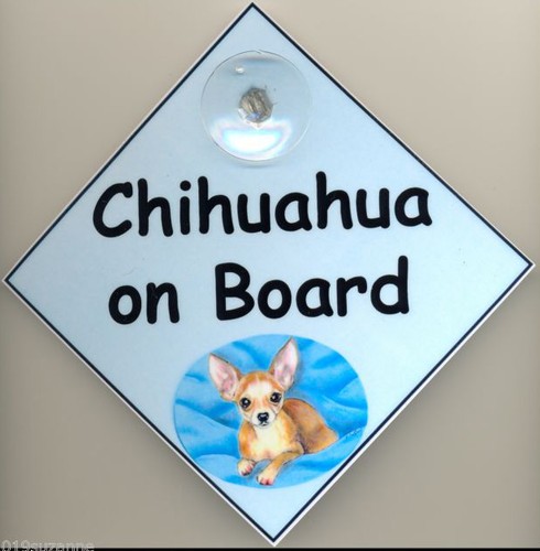 Original design chihuahua - original, on