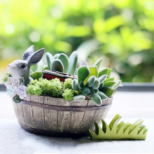 Resina grigio coniglio - resina, cactus