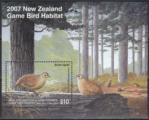 Nuova zelanda 2007 gioco - 2007, bird