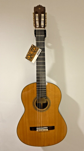 Video chitarra classica - chitarra,