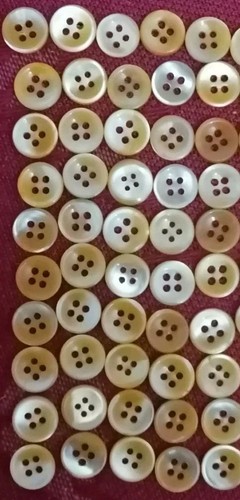 Madre perla lotto 50 - perla,, pz