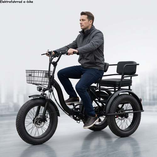 Triciclo elettrico 500w 48v - elettrico,