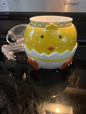 Pink Zebra Baby Chick Simmer