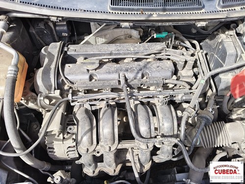 Motore ford fiesta 16v - fiesta, 1.2