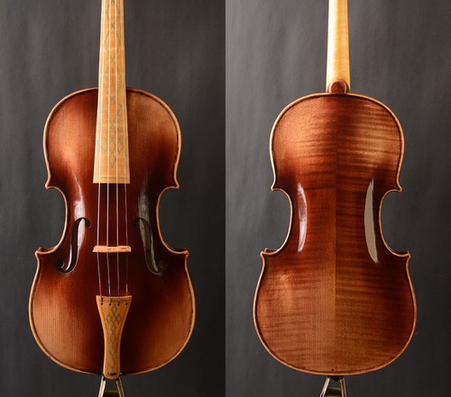 Offerta speciale violino 4 - offerta, speciale!violino