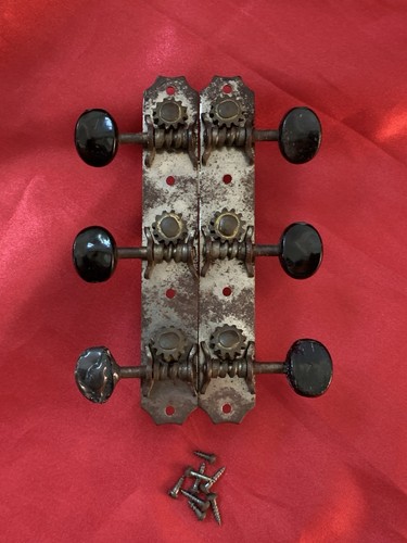 Parlor guitar tuner - parlor,