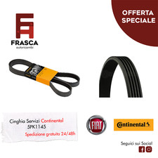 Cinghia Servizi Poly-V