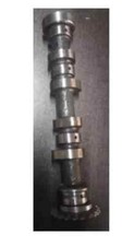 888209-ALBERO A CAMME