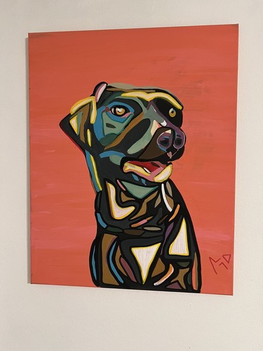 Labrador