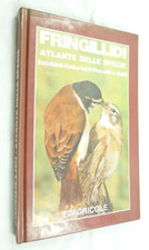 FRINGILLIDI ATLANTE DELLE SPECIE UCCELLI ORNITOLOGIA ORNITOLOGO EDAGRICOLE 1992