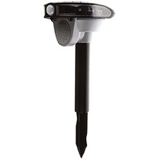 Dissuasore volatili solare +