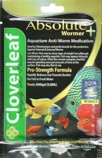 Trifoglio Absolute Acquario