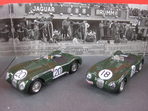 Diorama brumm jaguar - diorama, c
