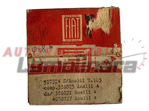 907924 fasce elastiche - 907924,