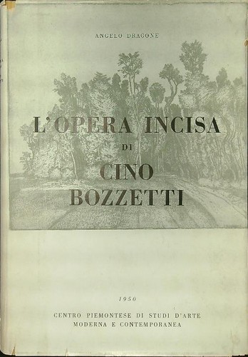 Opera incisa cino - l'opera,