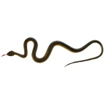 5 Pezzi di Gomma Realistica