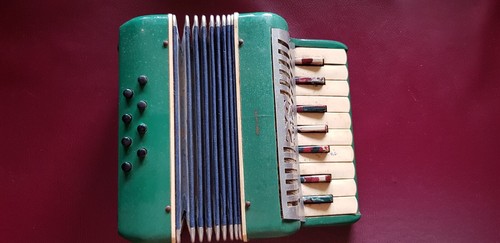 Fisarmonica giocattolo marca - fisarmonica,