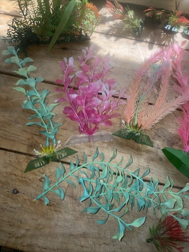Decorazione acquario pesci
