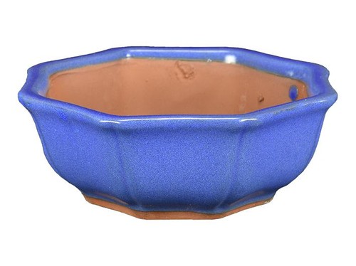 Vaso per bonsai ottagonale - , in