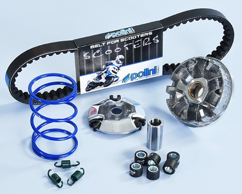 241 745 variatore polini - 241.745,