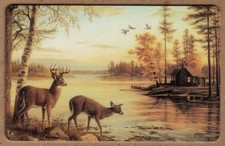 5m The Cabin Series opera