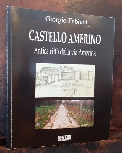 2010 fabiani castello amerino - 2010,